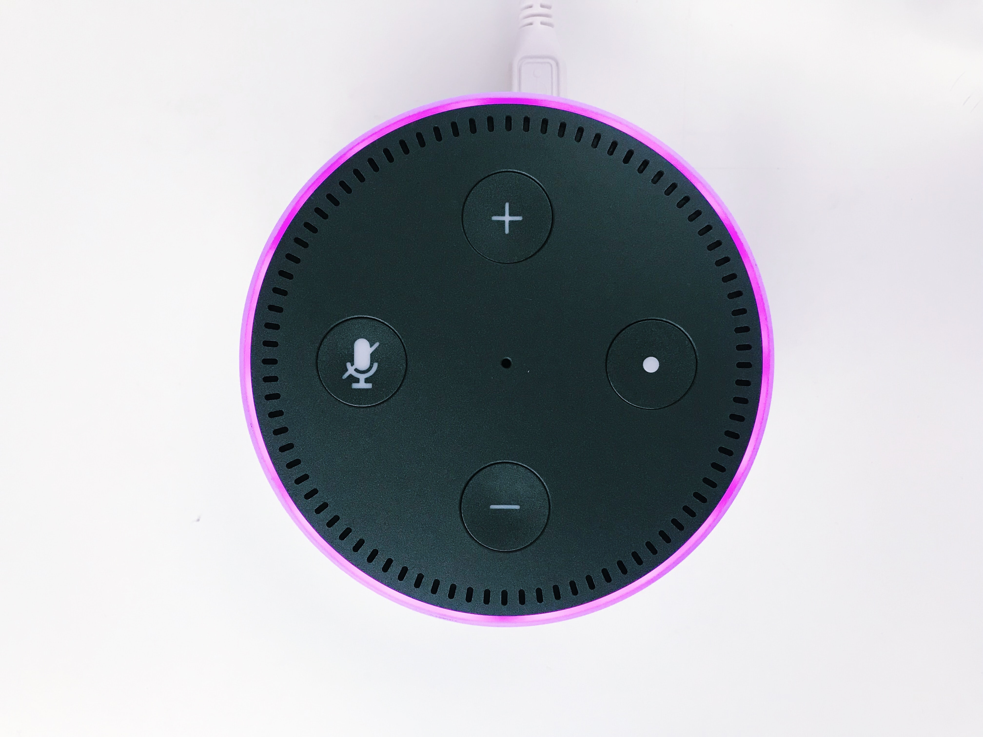 Amazon Echo pink ring colour