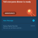 alt text describing alexa app open on a phone, demonstrating how to change name.