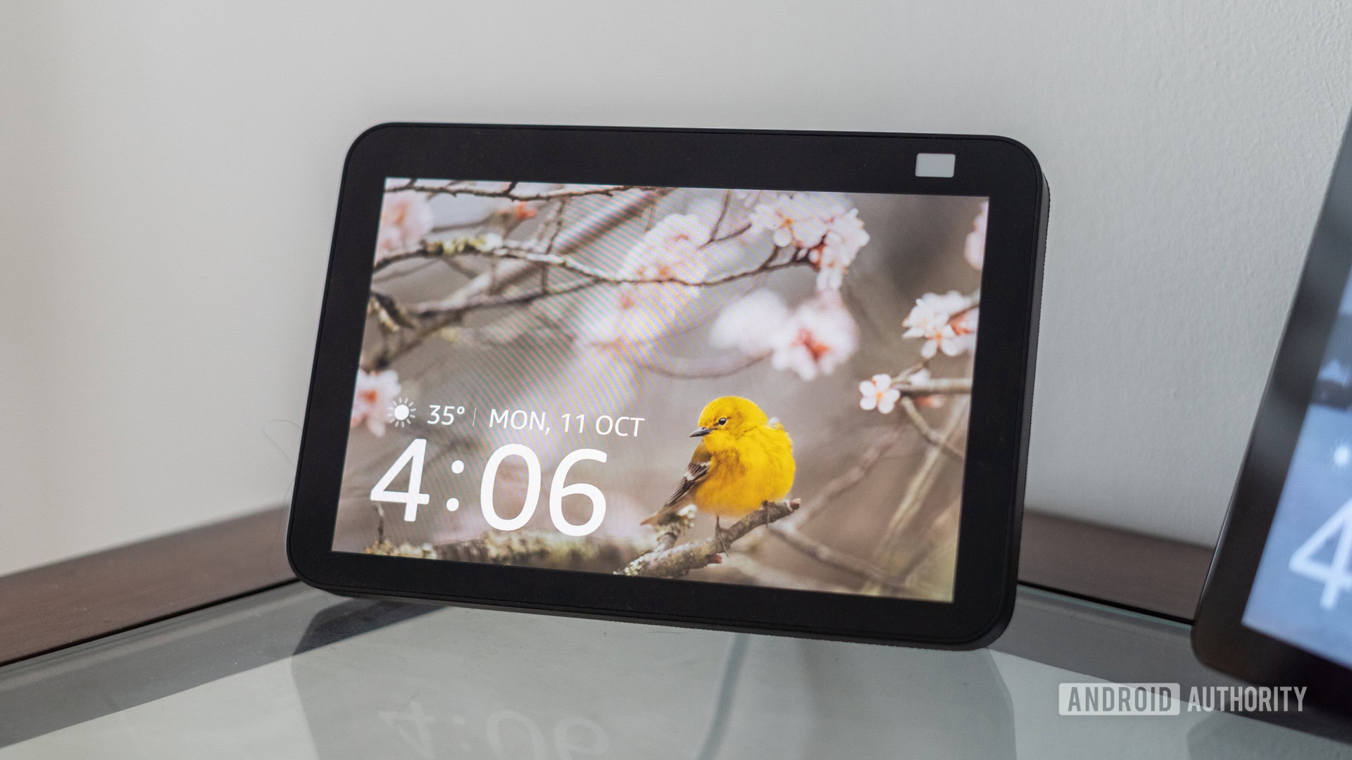 The Amazon Echo Show 8