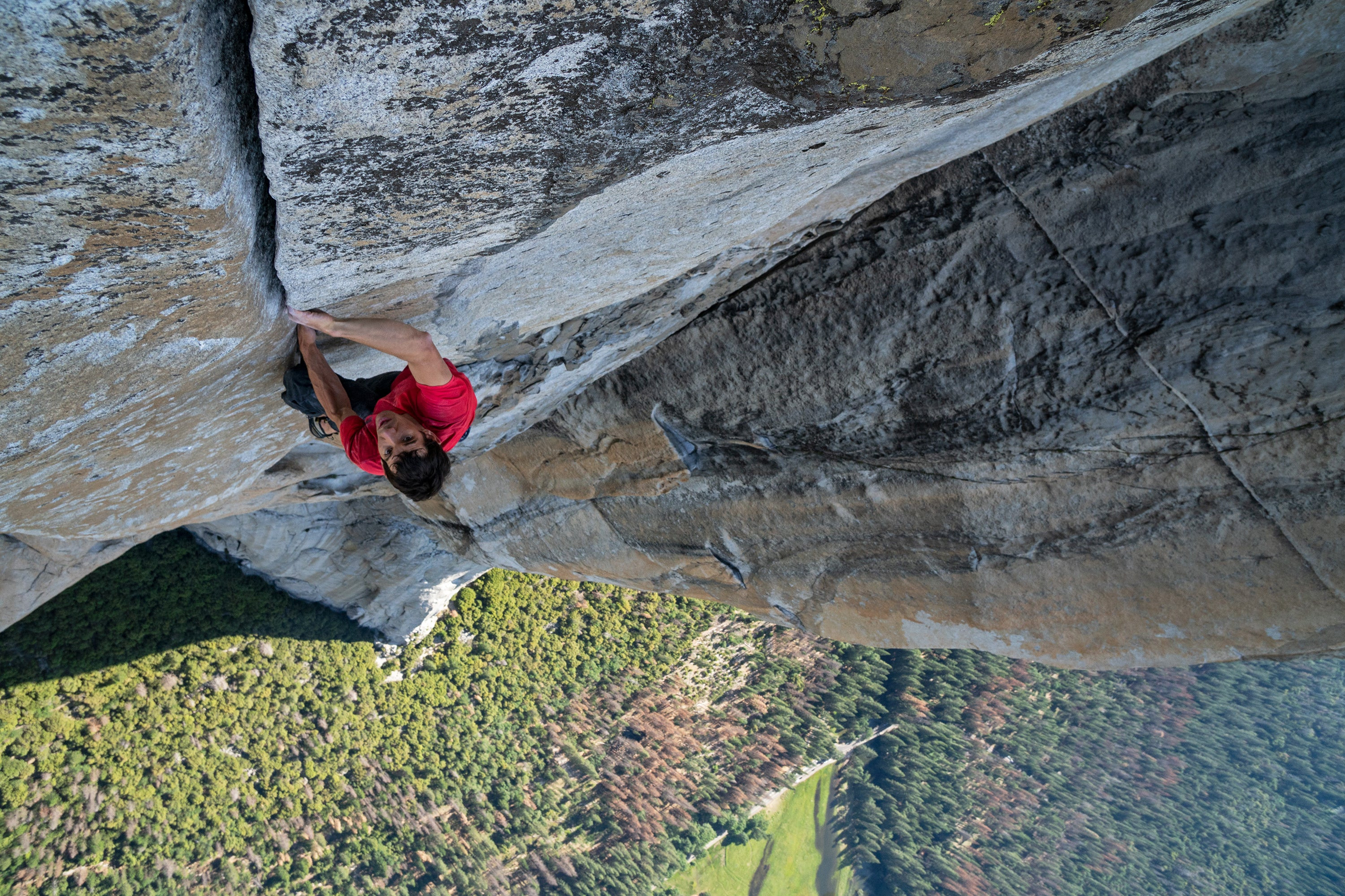 Alex Honnold on El Capitan in Free Solo