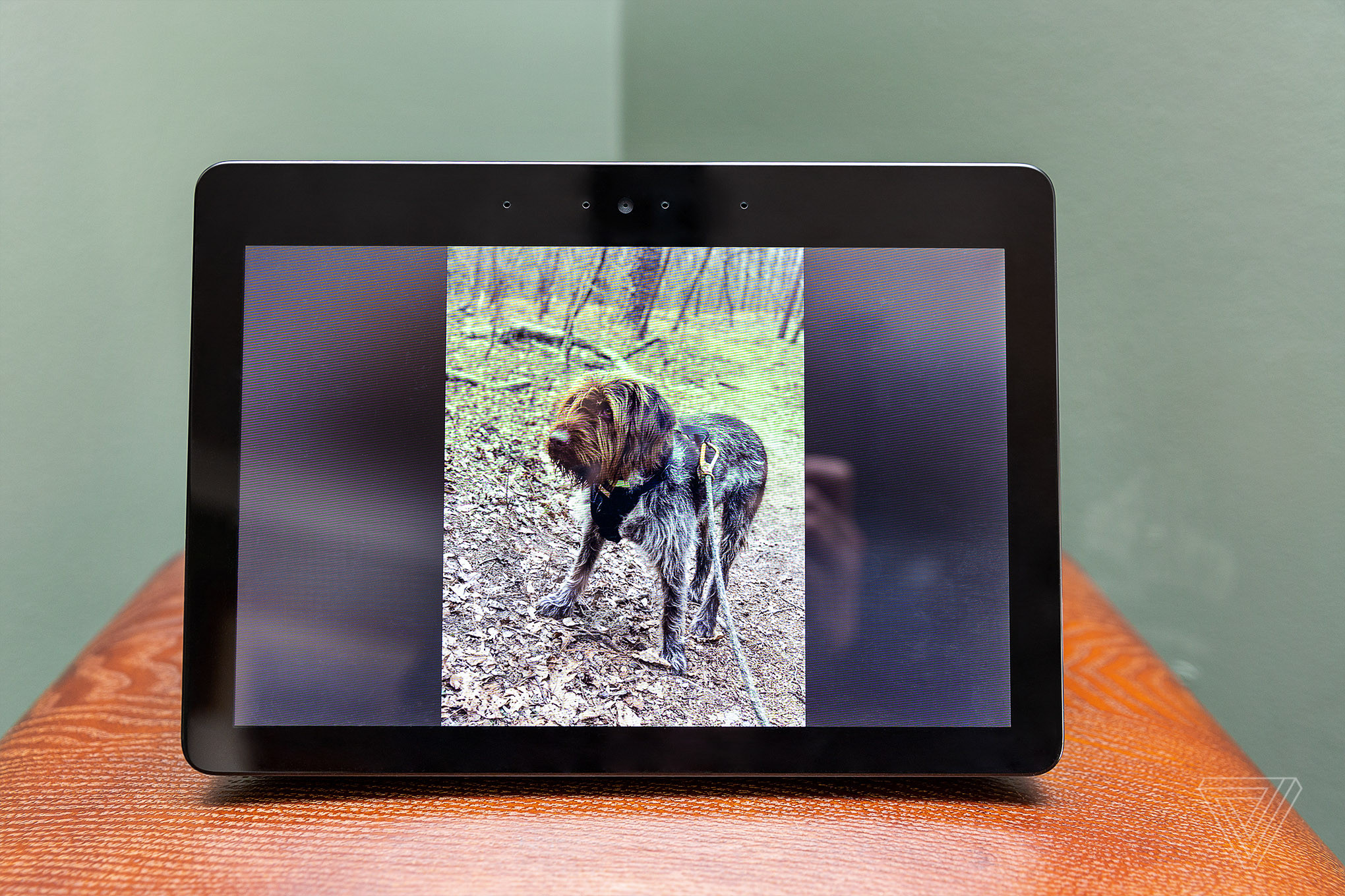 Displaying personal photos on an Echo Show.