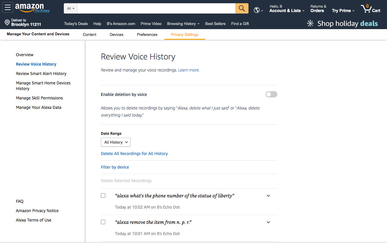 Reviewing Alexa Voice History on the Website